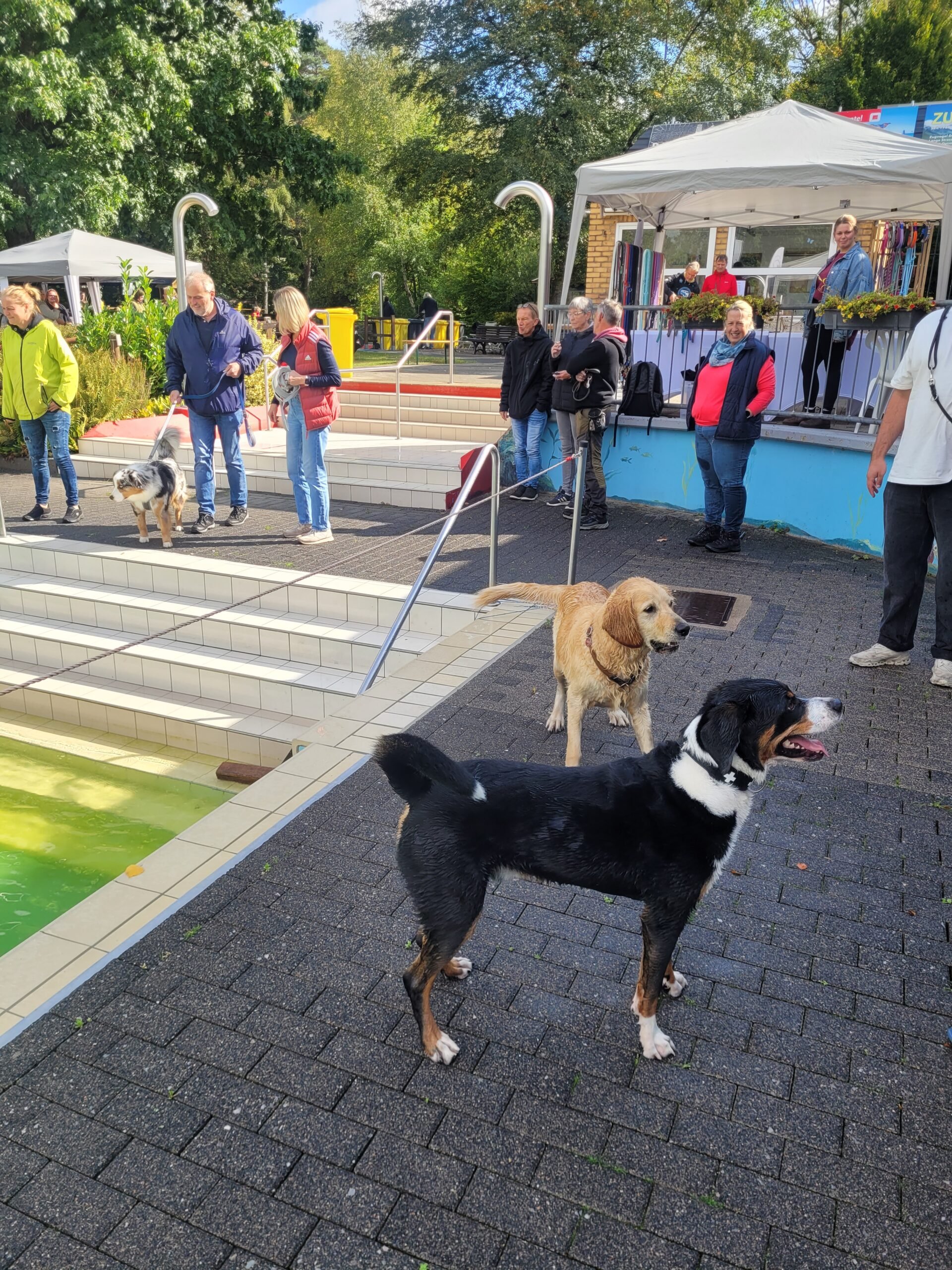 20250914_114732-scaled